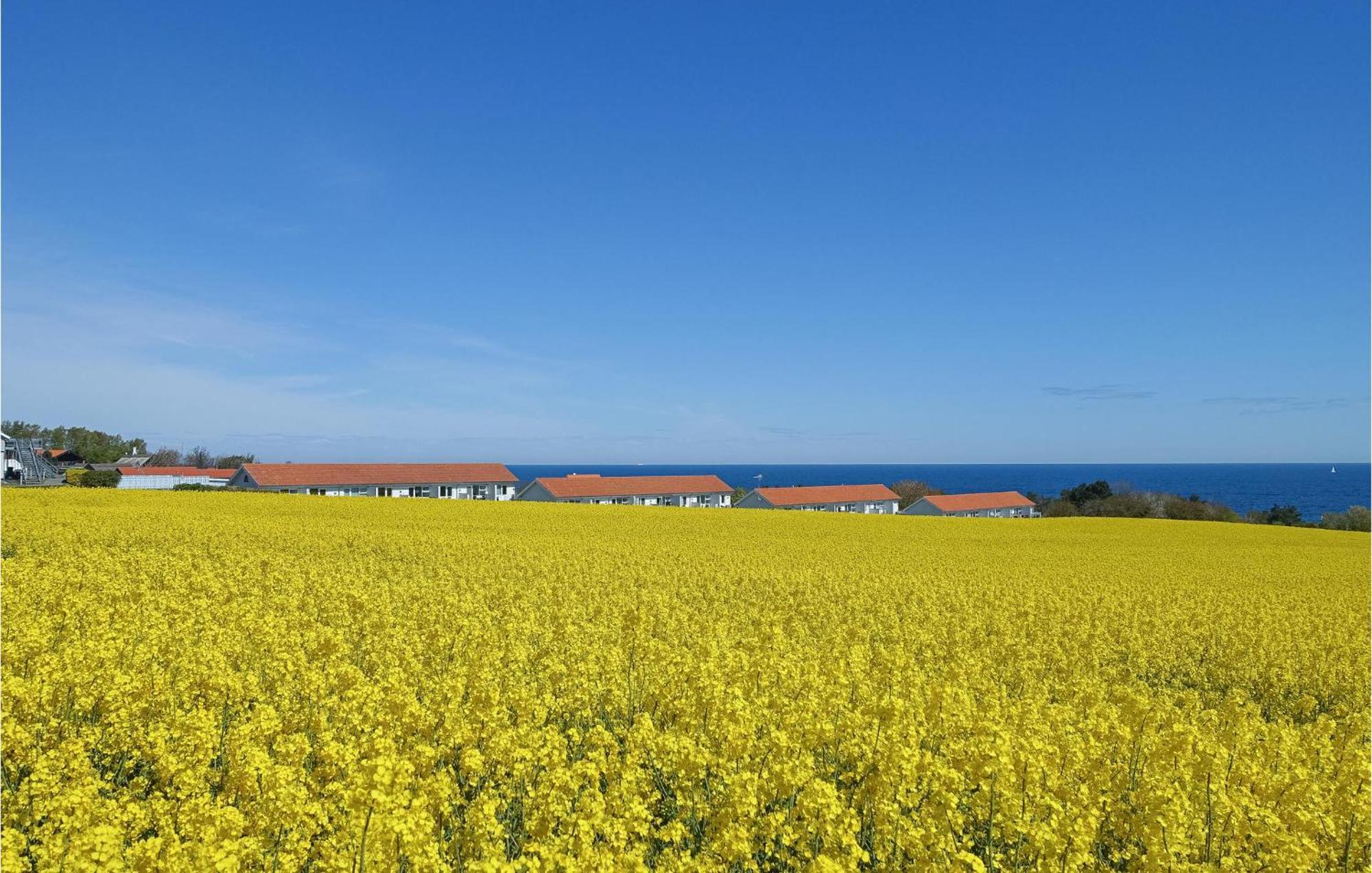 Nice Apartment In Allinge With House Sea View エクステリア 写真